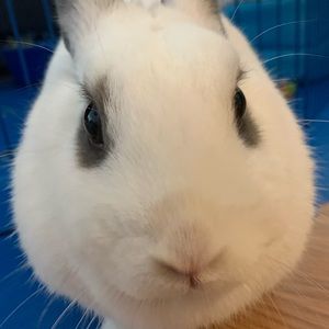 Meet your Posher, Sheyla